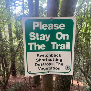 Meet your Posher, Gee